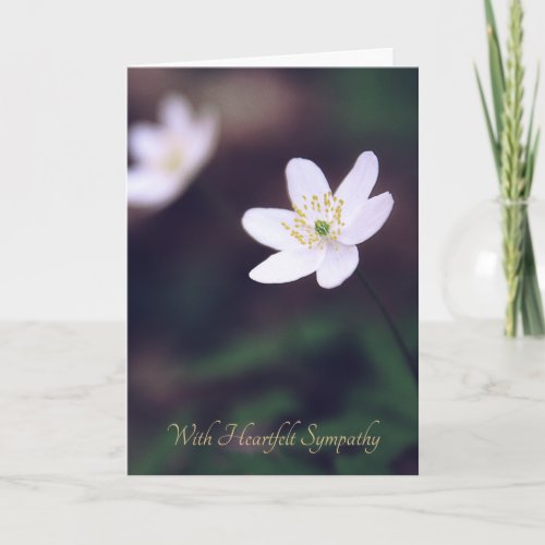 Forest Wildflower Floral Sympathy Cards