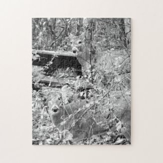 Forest with  Whitetail Deer Puzzle