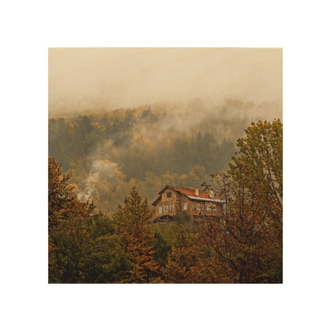 Forest Wooden House: Tranquil Scene Wood Wall Art (Front)