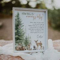 Forest Woodland Animals How Big Is Mommy's Belly