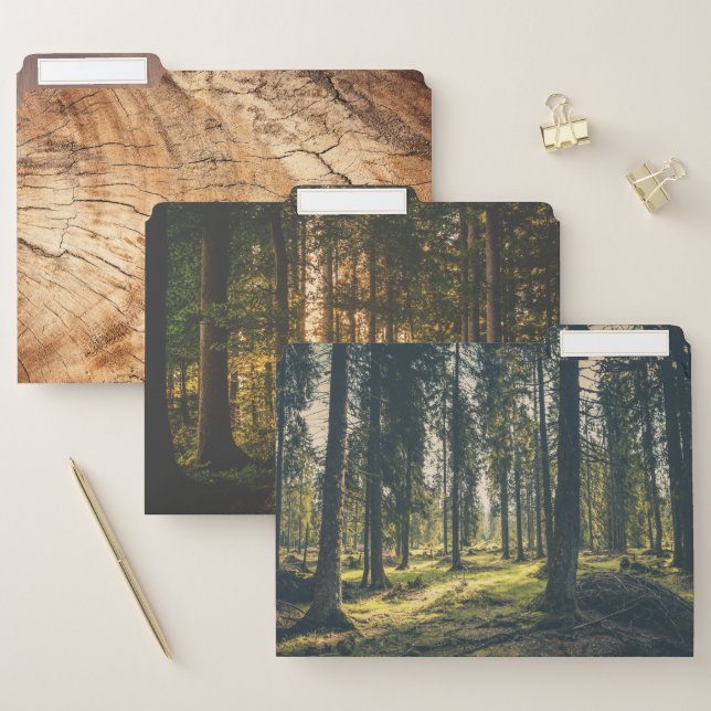 Forest Woods File Folder (Set)