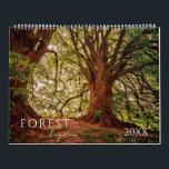 Forest Woods Landscape Four seasons Calendar<br><div class="desc">Forest Woods landscape nature calendar, four seasons.</div>