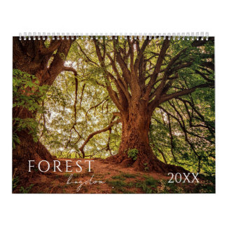 Forest Woods Landscape Four seasons Calendar