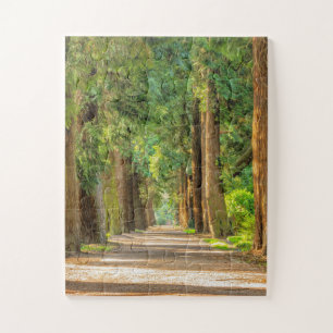 FOREST WOODS PEACEFUL TRAIL JIGSAW PUZZLE