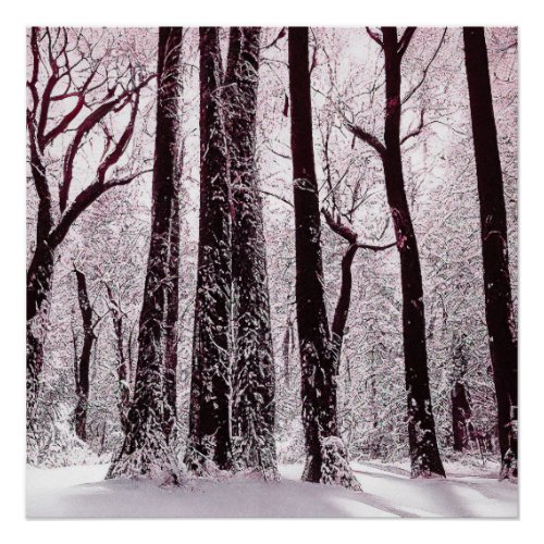 FOREST WOODS SNOWY WINTER SCENERY POSTER