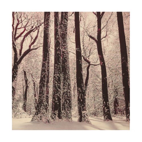 FOREST WOODS SNOWY WINTER SCENERY   WOOD WALL ART