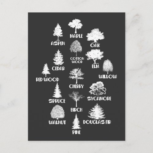 Forester Outdoor Wood Lover Tree Nature Education Postcard