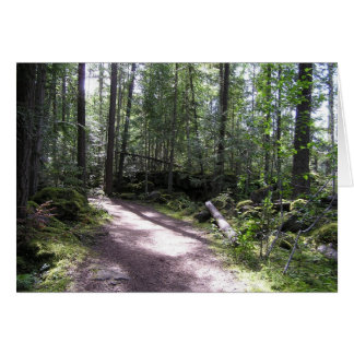 forestpath cards