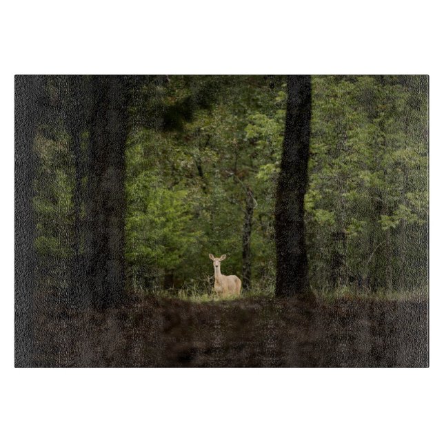 Forests | A White Tailed Deer in the Woods Cutting Board (Front)