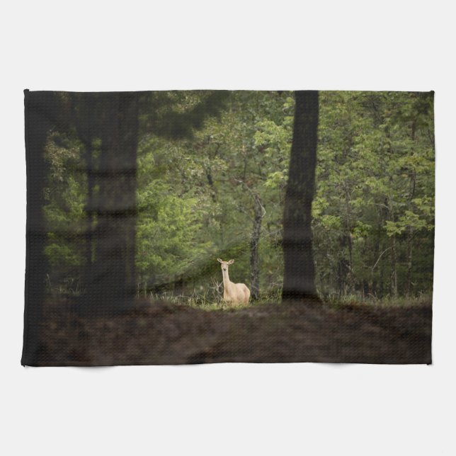 Forests | A White Tailed Deer in the Woods Kitchen Towel (Horizontal)