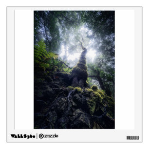 Forests   Anaga Rural Park Canary Islands Wall Decal