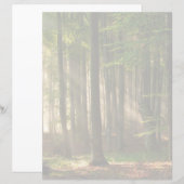 Forests | Autumn Forest (Front/Back)
