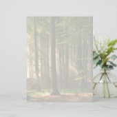 Forests | Autumn Forest (Standing Front)