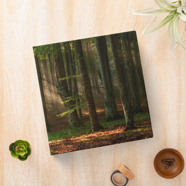 Forests | Autumn Forest 3 Ring Binder (In Situ)