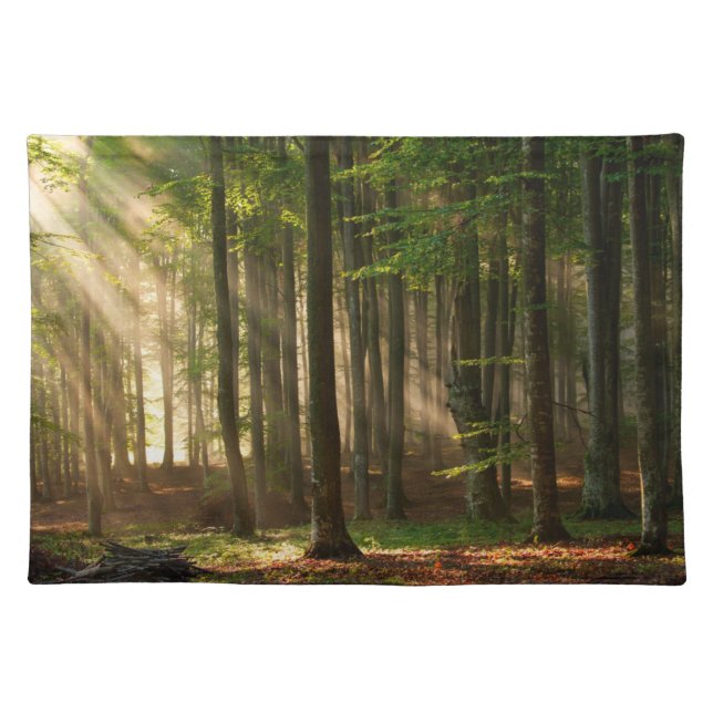 Forests | Autumn Forest Cloth Placemat (Front)