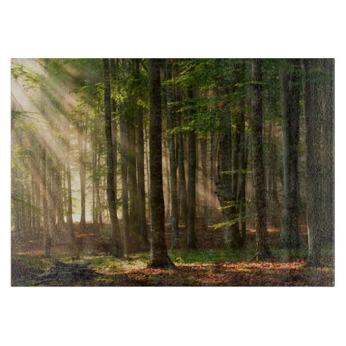 Forests  Autumn Forest Cutting Board