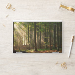 Forests   Autumn Forest HP Laptop Skin