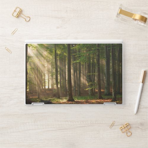 Forests  Autumn Forest HP Laptop Skin