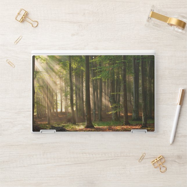 Forests | Autumn Forest HP Laptop Skin (Desk)