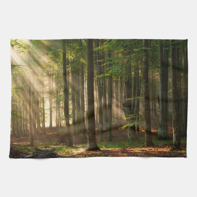 Forests | Autumn Forest Kitchen Towel (Horizontal)