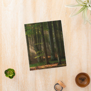 Forests Autumn Forest Mini Binder