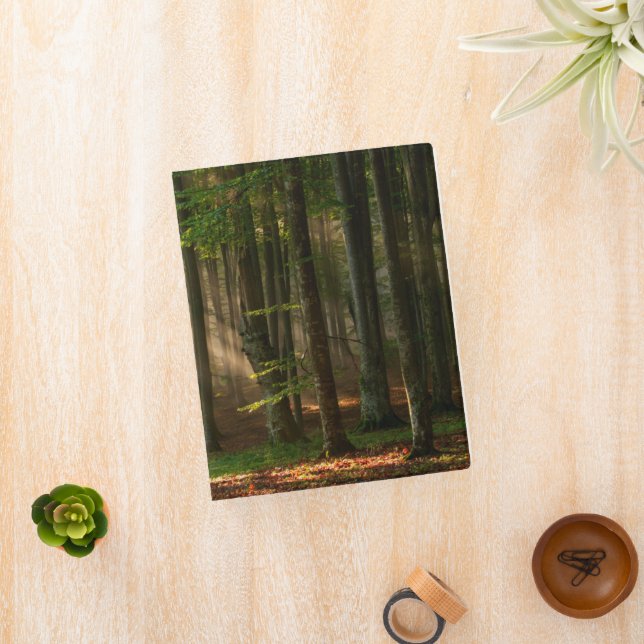 Forests | Autumn Forest Mini Binder (InSitu)