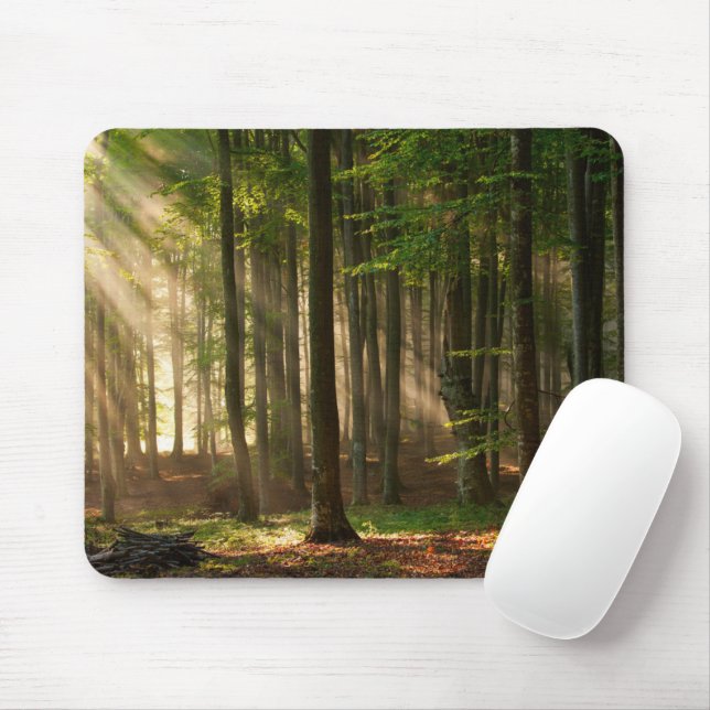 Forests | Autumn Forest Mouse Pad (With Mouse)