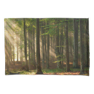 Forests   Autumn Forest Pillow Case