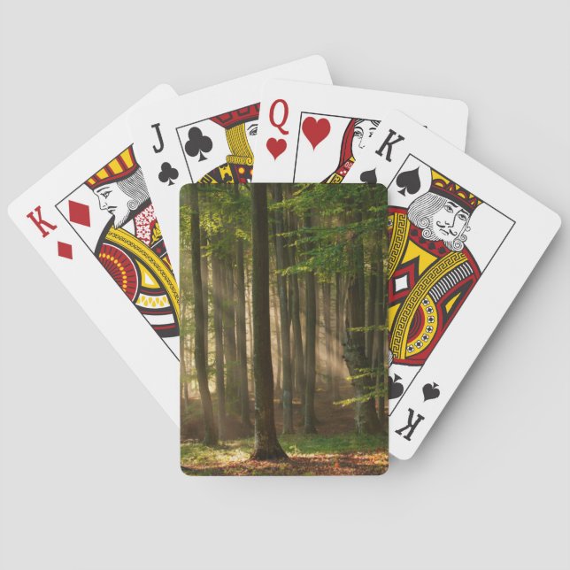 Forests | Autumn Forest Poker Cards (Back)