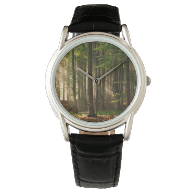 Forests | Autumn Forest Watch (Front)