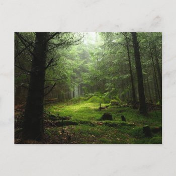 Forests | Auvergne France Postcard by intothewild at Zazzle