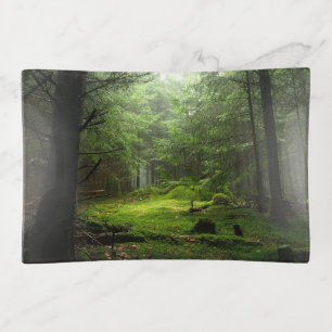Forests Auvergne France Trinket Tray