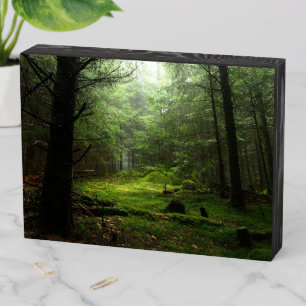 Forests Auvergne France Wooden Box Sign