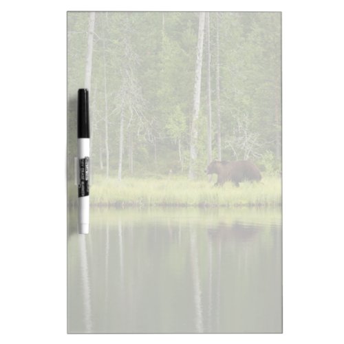 Forests  Bear at Taiga Forest Northern Finland Dry Erase Board