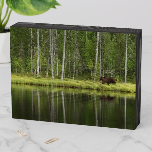 Forests  Bear at Taiga Forest Northern Finland Wooden Box Sign