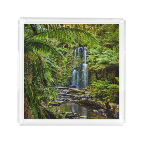 Forests  Beauchamp Falls Australia Acrylic Tray