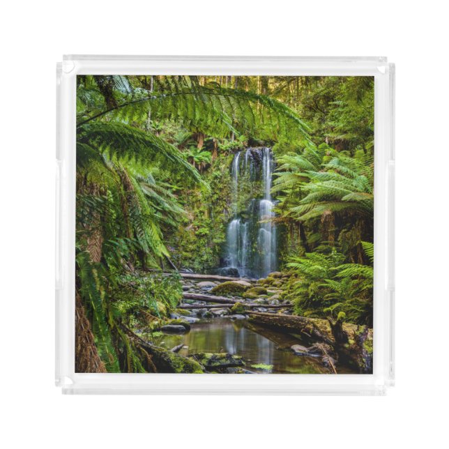 Forests | Beauchamp Falls Australia Acrylic Tray (Front)