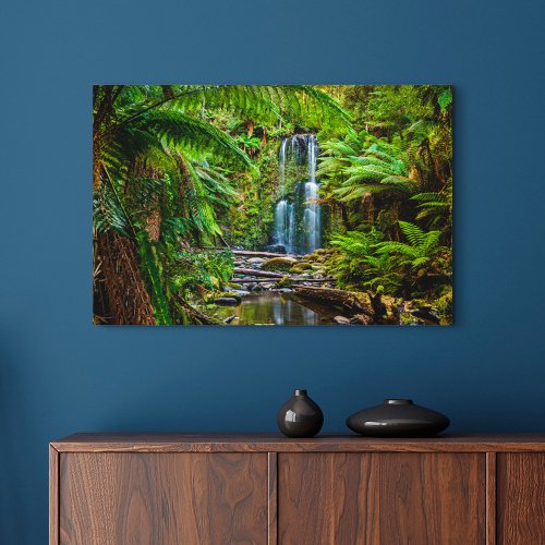 Forests  Beauchamp Falls Australia Canvas Print