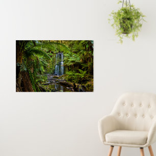 Forests Beauchamp Falls Australia Foam Board