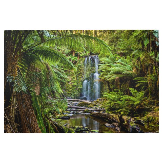 Forests | Beauchamp Falls Australia Metal Print (Front)