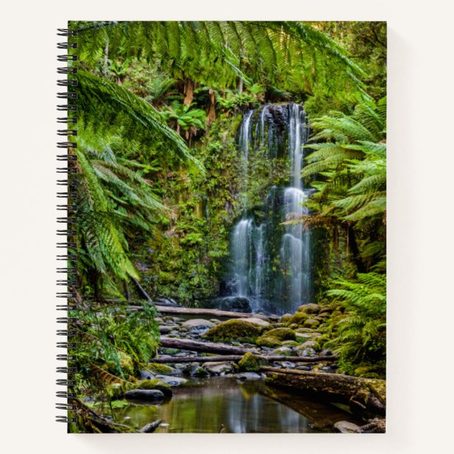 Forests | Beauchamp Falls Australia Notebook (Front)