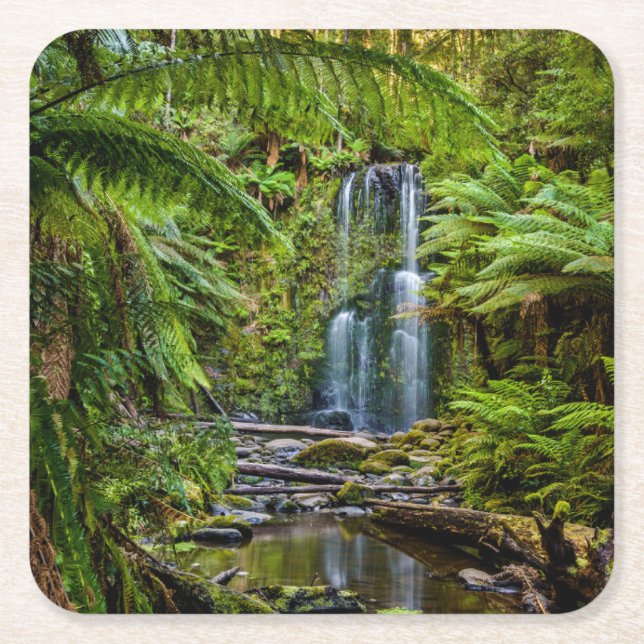 Forests | Beauchamp Falls Australia Square Paper Coaster (Front)