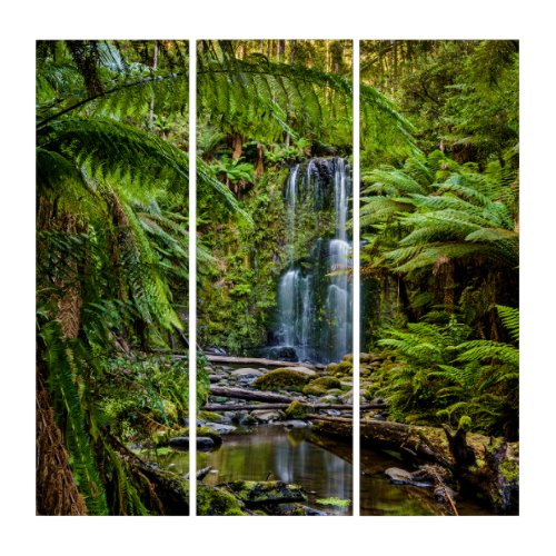 Forests  Beauchamp Falls Australia Triptych