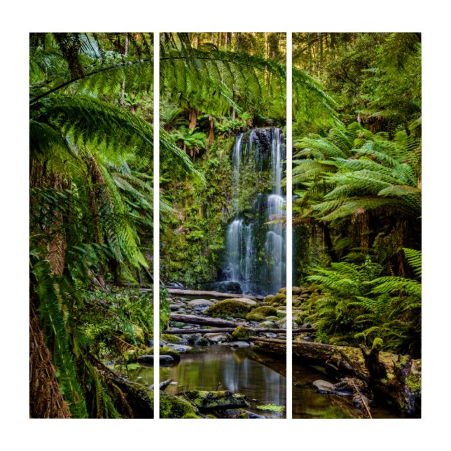 Forests | Beauchamp Falls Australia Triptych (Front)