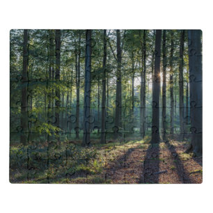 Forests   Black Forest Germany Jigsaw Puzzle