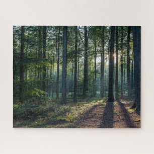 Forests   Black Forest Germany Jigsaw Puzzle