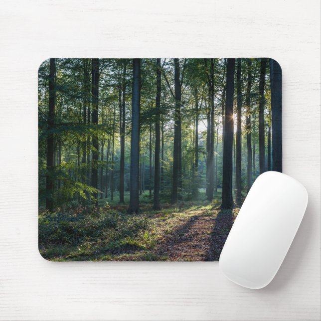 Forests | Black Forest Germany Mouse Pad (With Mouse)