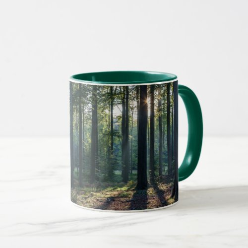 Forests  Black Forest Germany Mug