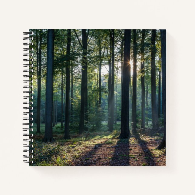 Forests | Black Forest Germany Notebook (Front)