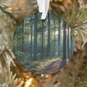 Forests Black Forest Germany Ornament
